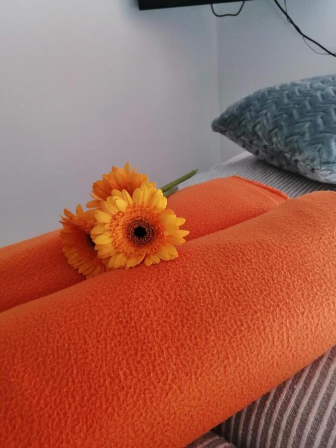 Apartman Radic Trogir Extérieur photo
